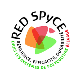 RED-SPYCE-0
